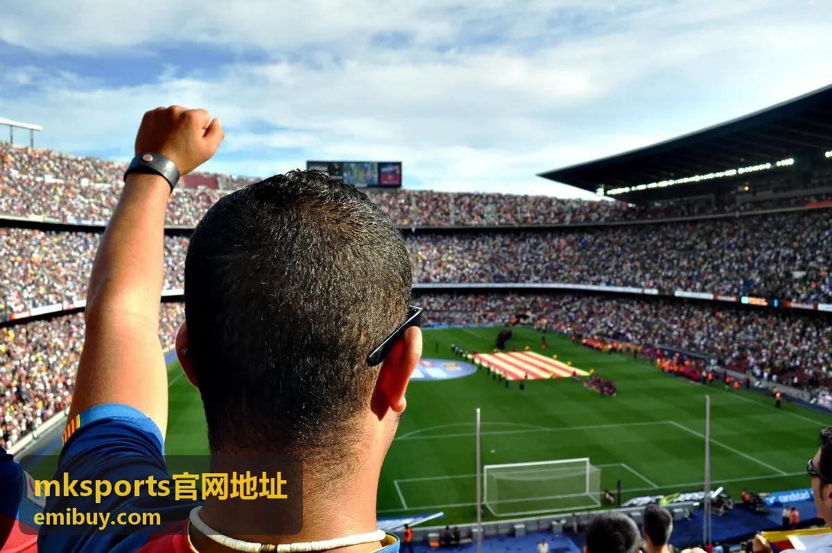 mksports官网地址入口核对流程配图