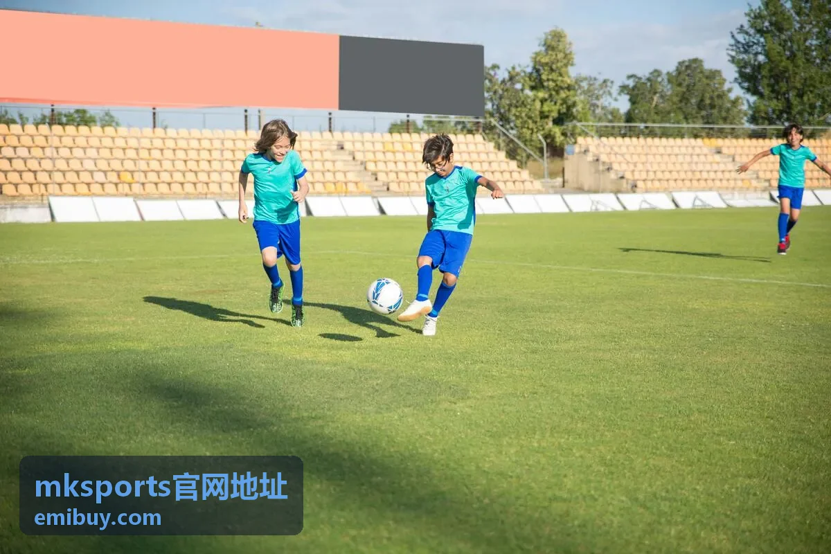 mksports官网地址平台功能分项示意
