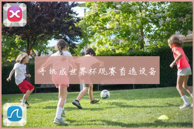 手机成世界杯观赛首选设备