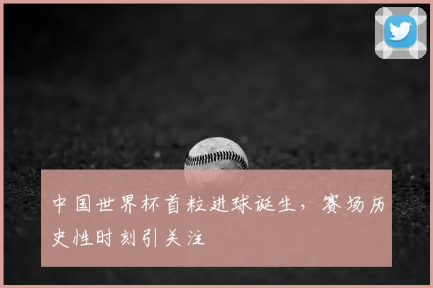 中国世界杯首粒进球诞生，赛场历史性时刻引关注